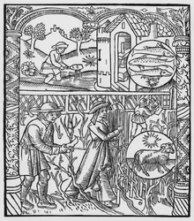 Marzo, pesca y poda de árboles, Piscis, ilustración del 